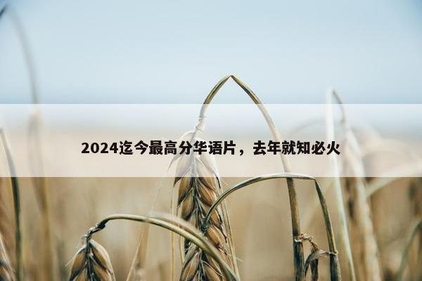2024迄今最高分华语片，去年就知必火