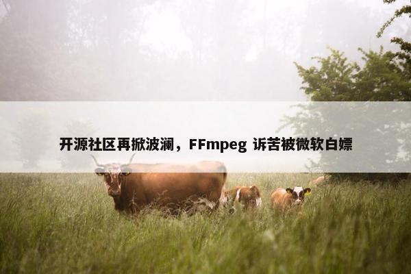 开源社区再掀波澜，FFmpeg 诉苦被微软白嫖