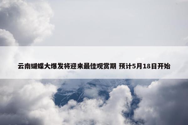 云南蝴蝶大爆发将迎来最佳观赏期 预计5月18日开始