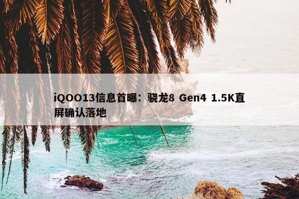 iQOO13信息首曝：骁龙8 Gen4 1.5K直屏确认落地
