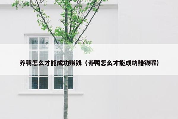 养鸭怎么才能成功赚钱（养鸭怎么才能成功赚钱呢）