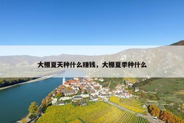 大棚夏天种什么赚钱，大棚夏季种什么